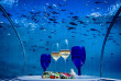Maldives - Hurawalhi Island Resort - 5.8 Underwater Restaurant