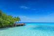 Maldives - Makunudu Island - Bar