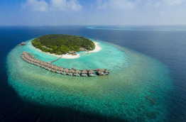 Maldives - Dusit Thani Maldives - Ocean Villa with Pool