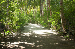 Maldives - Filitheyo Island Resort - La végétation dense