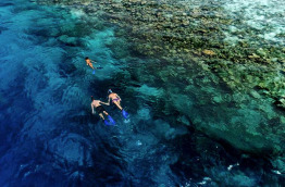 Maldives - TGI Diving Helengeli © Markus Schubert