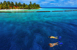 Maldives - Kurumba Maldives - Snorkeling