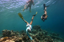 Maldives - Soneva Fushi - Snorkeling