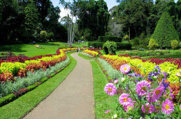 Sri Lanka - Le Jardin botanique de Perdeniya