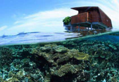 House Reef au Park Hyatt Maldives