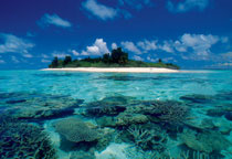 Paysage d'ile déserte en croisière aux Maldives