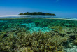 Maldives - Croisière plongée Amis des Maldives - Oceane One © Fabrice Dudenhofer