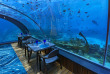 Maldives - Hurawalhi Island Resort - 5.8 Underwater Restaurant