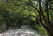 Maldives - OZEN By Atmosphere At Maadhoo