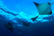 Maldives - Euro-Divers Dighali