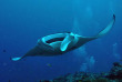 Maldives - Euro-Divers Dighali