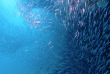 Maldives - Noovilu Sports - Kandolhu
