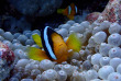 Maldives - Noovilu Sports - Kandolhu