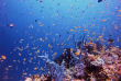 Maldives - Noovilu Sports - Kandolhu