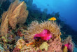 Maldives - Baglioni Resort Maldives - Centre de plongée Maagau Dive Centre