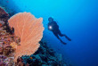 Maldives - Prodivers Kuredu