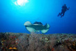 Maldives - Prodivers Kuredu
