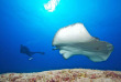 Maldives - Prodivers Kuredu