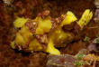 Maldives - Prodivers Kuredu