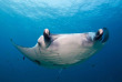 Maldives - Prodivers Kuredu