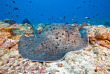 Maldives - Prodivers Kuredu