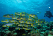 Maldives - Prodivers Kuredu