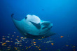 Maldives - Prodivers Kuredu