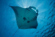 Maldives - Prodivers Kuredu