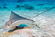 Maldives - Prodivers Kuredu