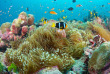 Maldives - Prodivers Kuredu