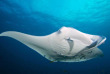 Maldives - Prodivers Kuredu