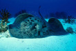 Maldives - Prodivers Lily Beach