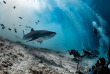 Maldives - Croisière Scubaspa
