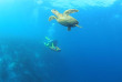 Maldives - You & Me Maldives - Activités et excursions