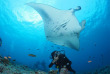 Maldives - You & Me Maldives - Activités et excursions