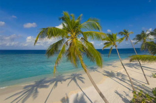 Maldives - Milaidhoo Island - Beach Pool Villa