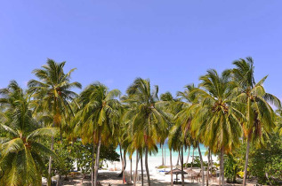 Maldives - Reverie Diving Village - Vue depuis l'hôtel