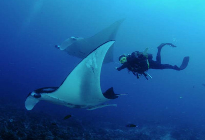 Maldives - Baglioni Resort Maldives - Centre de plongée Maagau Dive Centre