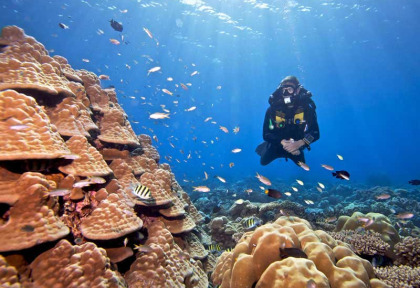 Maldives - Prodivers Kuredu