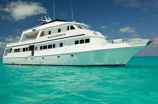 Belize - Croisière Plongée Belize Aggressor © Wayne Works Marine