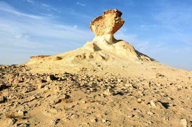 Qatar - Escapade sur la péninsule de Zekreet © Shutterstock, Alizada Studios